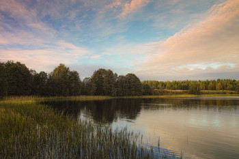 У тихого берега / Ранним утром на озере.
