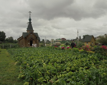 Богатый урожай, / август,Дивеево,Казанский источник