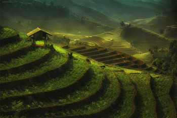 &nbsp; / Вьетнам 2019.
https://mikhaliuk.com/China-Phototour-Journey-Landscapes-of-Guilin/