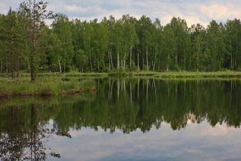Озеро в лесу / Отражения 2