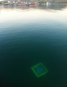 Строго говоря / ...