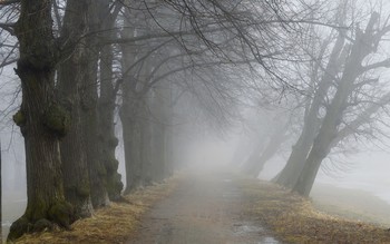 Весенний променад...... / Петергоф. Красный пруд. Март