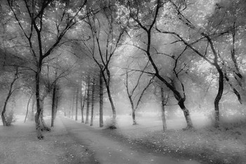 В городском парке / Киров