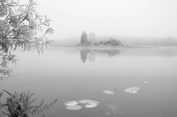 август / озеро в утром , туманным утром августа