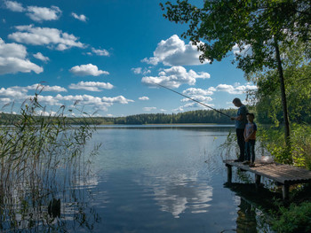Солнечный денек на озере / Нарочанские озера. Август.