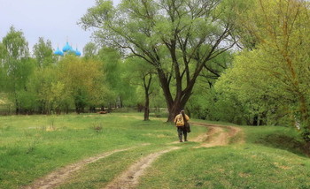 За плотвой / весенняя зарисовка