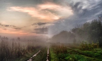 дорога в туманное утро / Август.Утро.Туман..Дорога.