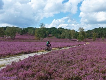 Fischbeker Heide Hamburg / Вересковая долина в районе Фишбек (Fischbeker Heide) составляет 773 га одного из крупнейших охраняемых районов Гамбурга. Эта необыкновенная красота! Если бы фотография могла передать тонкий аромат вереска, жужжание пчёл над ним, саму атмосферу вокруг восхитительного цветения! Лица людей, которых я встречала в вересковой долине, светились от счастья и радости! Когда такое видишь, начинаешь верить, что красота, действительно, спасёт мир..
Подробнее в моём блоге: http://fotokto.ru/blogs/fischbeker-heide-hamburg-32765.html
https://www.youtube.com/watch?v=DMM68wkJe-g