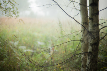 &nbsp; / первые туманы..предвестники осени..