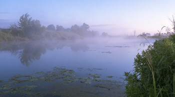 Утро туманное. / Летние туманы. Озеро Омут.
