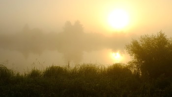 Туман на рассвете. / Густой туман на озере Сосновое.