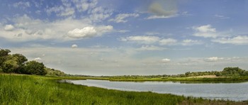 Июльский полдень. / Панорама, пойма реки Волга, Волгоградская область.