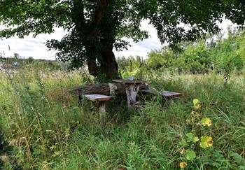 Вот и лето прошло... / Вот и лето прошло,
Словно и не бывало.
На пригреве тепло.
Только этого мало.

Всё, что сбыться могло,
Мне, как лист пятипалый,
Прямо в руки легло.
Только этого мало.

Понапрасну ни зло,
Ни добро не пропало,
Всё горело светло.
Только этого мало.

Жизнь брала под крыло,
Берегла и спасала.
Мне и вправду везло.
Только этого мало.

Листьев не обожгло,
Веток не обломало...
День промыт, как стекло.
Только этого мало.
Арсений Тарковский.