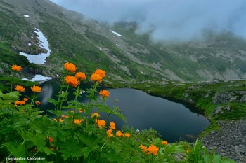 Огоньки у озера в Кузнецком Алатау / Горный хребет Кузнецкий Алатау.