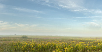 Утро на летнем лугу. / Панорама,Саратовская область.