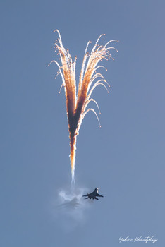 Феникс / МАКС-2109