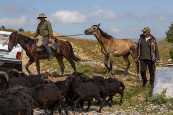 Кабарда / Пастухи в горах