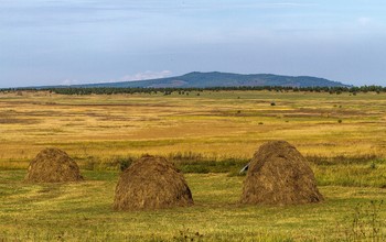 &nbsp; / Пора сенокоса.