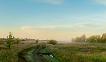 Август,утро. / Панорама.Саратовская область.