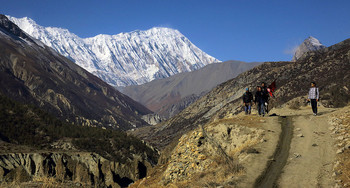Тиличо Пик / Непал. Гималаи.