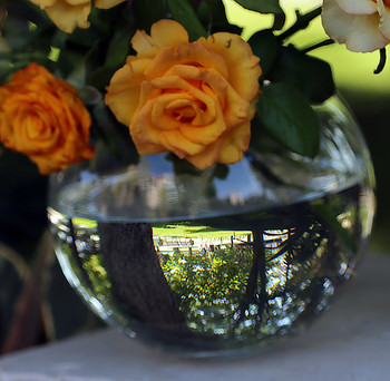 &nbsp; / ваза с цветами