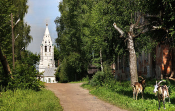 Тутаев, улица Ушакова... / В конце улицы - Покровская церковь...
