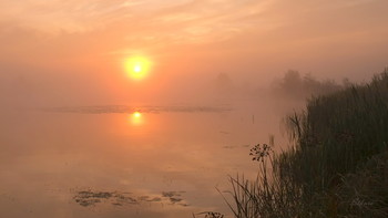 Осенний рассвет. / Туманное, осеннее утро на озере.