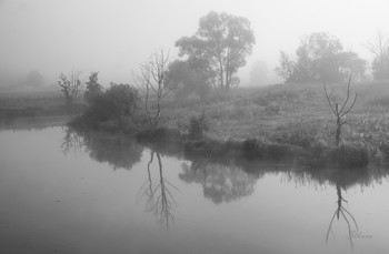 Призрачный пейзаж. / Туманное утро на озере Омут.