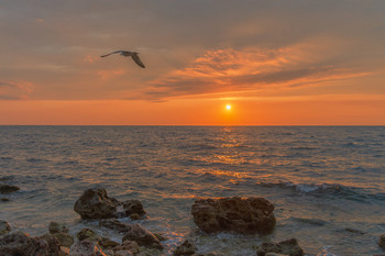 Море волнуется раз... / Крым, дикий пляж Севастополя