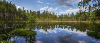 Озеро в лесу / Карелия