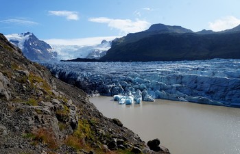 Ледяная лапа / ледник