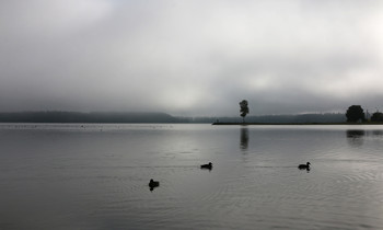 Утренний туман / Валдайское озеро.