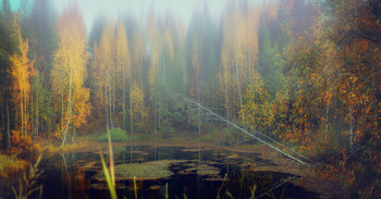 Осень чёрного озерца / Северный Урал