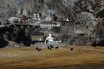 Монастырь / Непал. Гималаи. Брага