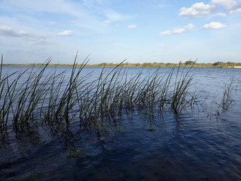 Уж небо осенью дышало... / Осень , река, облака