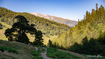 Свет и тени. / Просторы Архыза.