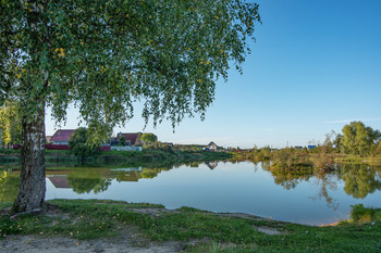 Осенний пруд. / Село Селихово, Конаковский р-н.