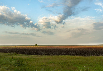 Поле. / Панорама,Саратовская область.