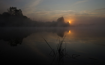 Невысокое солнышко осени / Россия. Тульская область. Ленинский район. Архангельское.