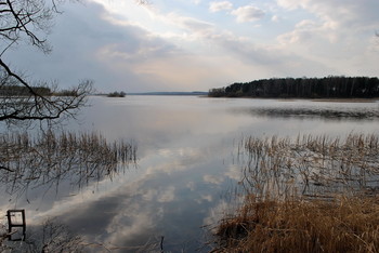 &nbsp; / Природа