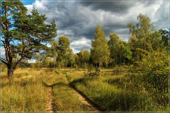 Осень, осень, осень.... 2 / Осень, осень, осень.... 2