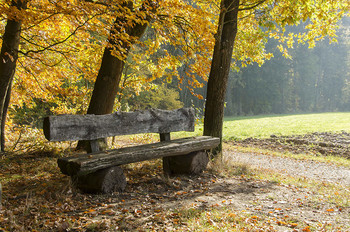 Золотая пора. / парк,лавочка,осень