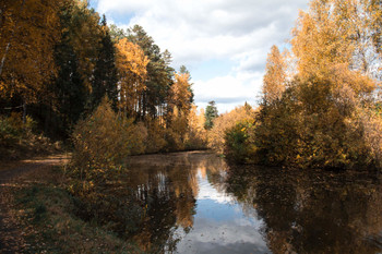 Осень, красивая и таинственная / Красноярский край г.Железногорск