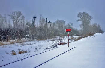 Красный конь / Сижу в промерзшей электричке,
Коньяк, дежурный бутерброд...
А за окном туманно-мглистым
Кристально-белый снег идет...
Чего мне ждать я точно знаю
И до безумия хочу,
Чтоб красный конь, промчавшись мимо,
Метелью вздыбил на ветру.

Да вздыбил так, чтоб пали грезы,
Придуманного бытия,
И в этом беспощадном мире
Остались только ты и я.