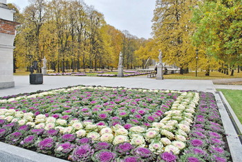 Капустная краса / Саксонский парк в Варшаве