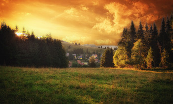 &nbsp; / Утро в Шварцвальде