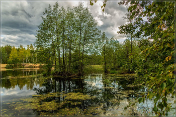 Лесное озеро, осень 2 / Лесное озеро, осень 2