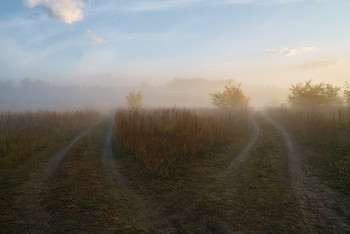Две дороги / дорога, туман,рассвет,осень
