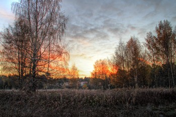 Поздняя осень / Октябрь