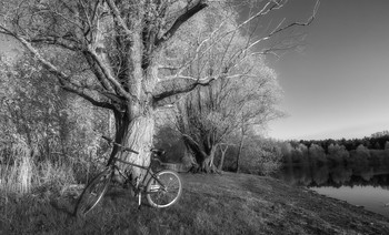 &nbsp; / УТРО и ВЕЛОСИПЕД